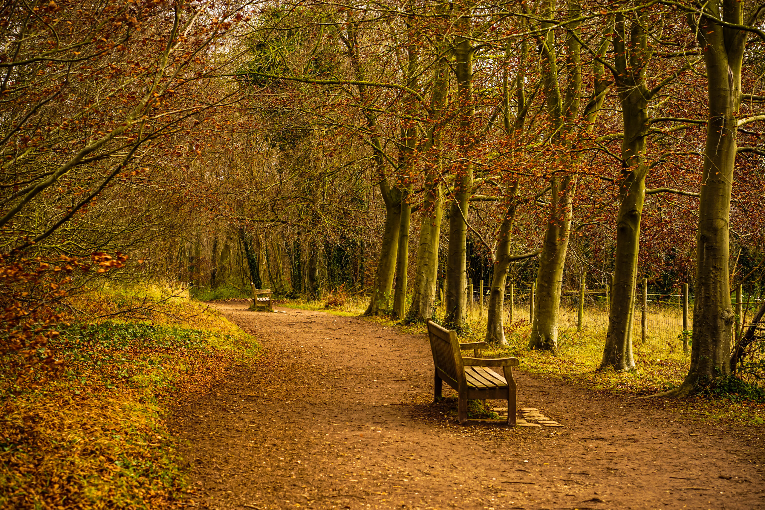 Wandlebury Country Park, Gog Magog Hills