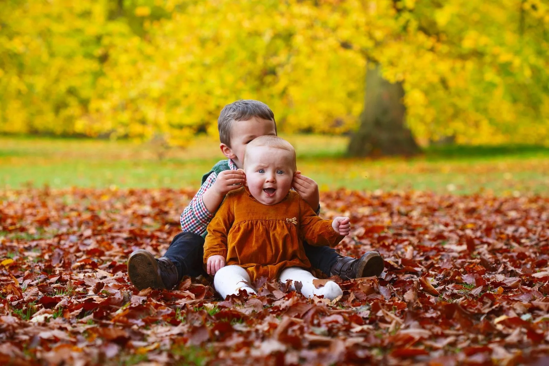Siblings playing in autumn leaves cambridge