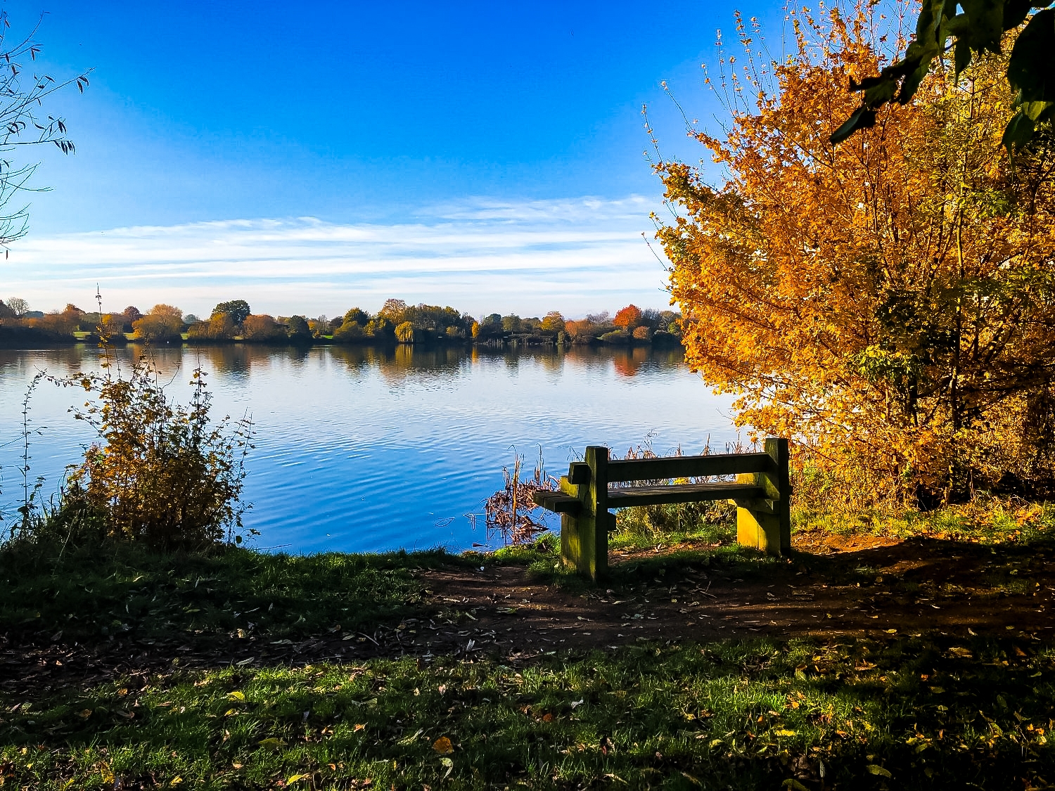 Ferry Meadows, Nene Park (Peterborough)
