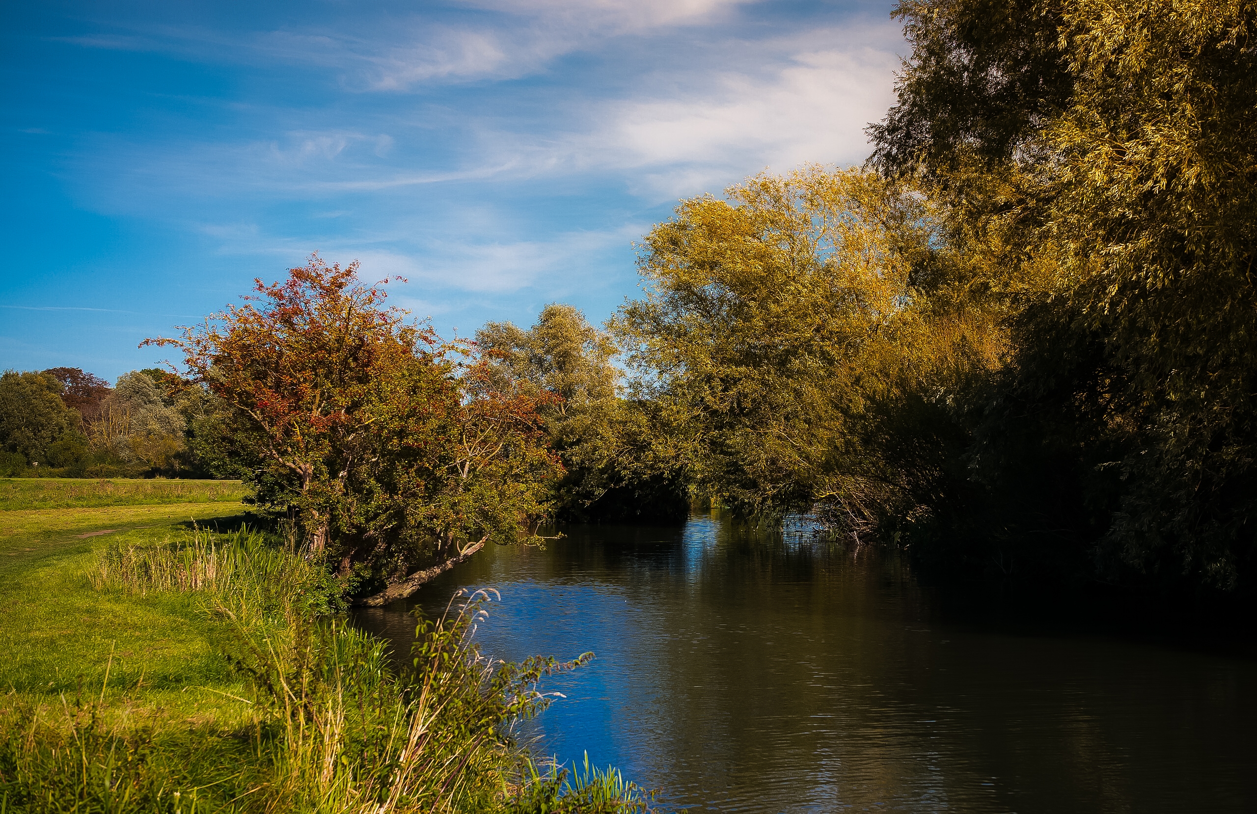 Grantchester Meadows